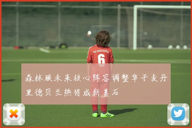森林狼未来核心阵容调整华子麦丹里德贝兰热将成新基石